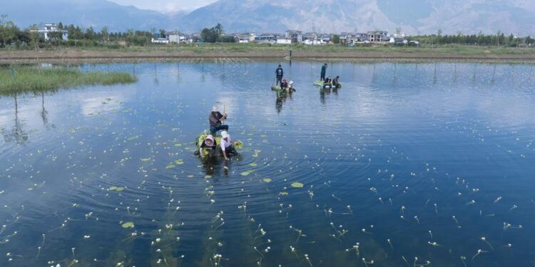 China Advances Draft Ecological Environment Code