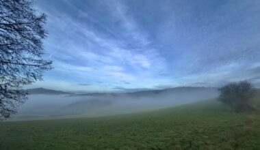 Morgens in der Eifel