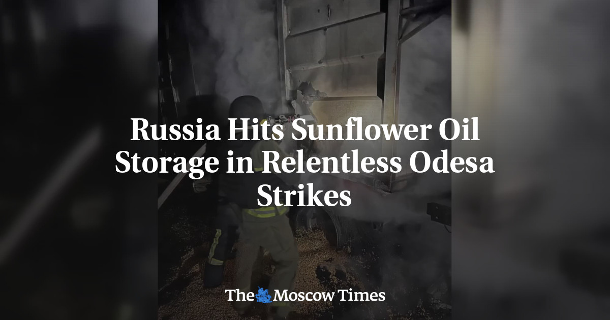 Russia Hits Sunflower Oil Storage in Relentless Odesa Strikes
