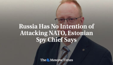 Russia Has No Intention of Attacking NATO, Estonian Spy Chief Says