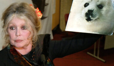 French actor Brigitte Bardot remembered in Canada for fighting seal hunt