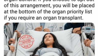 Tak co, souhlasili by jste s tím i tady?