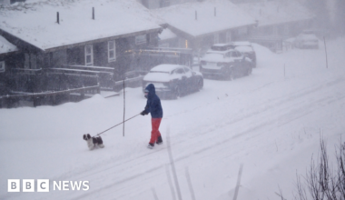 A pedestrian walks their dog along a snow-covered road next to houses and parked cars in Are, northern Sweden.