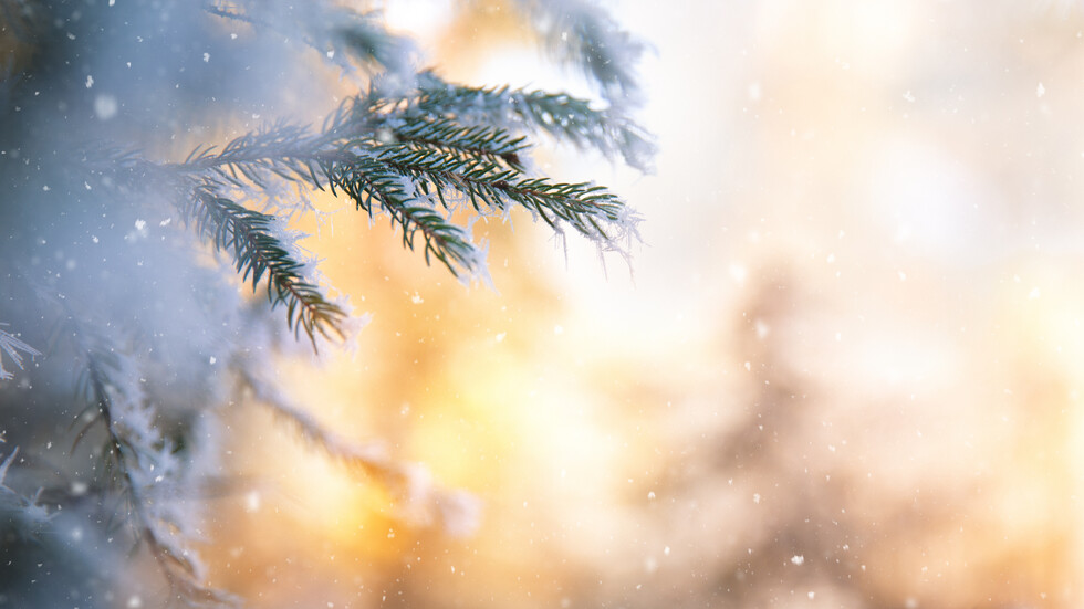 Ще вали ли сняг до края на годината: Какво показват най-актуалните прогнози