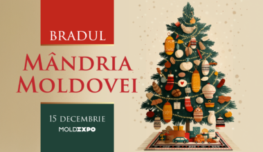 Moldexpo to host Moldova's only Christmas tree adorned by local producers