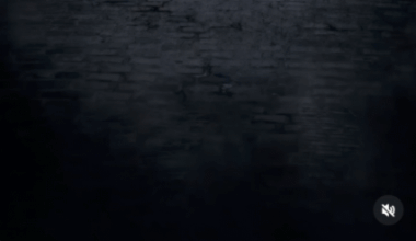 RTE promoting Conor McGregor’s business interests