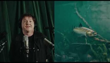 Zivis sludinājumu portālos?