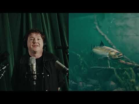 Zivis sludinājumu portālos?