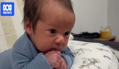 Man charged over newborn's death in Gold Coast M1 crash granted bail