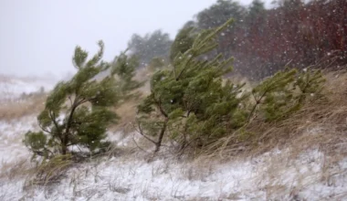 Hurricane Winds Are Coming to Latvia! Meteorologists Warn Latvians