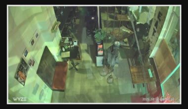 Thieves steal up to $1K in liquor from Belltown business in third attack since August