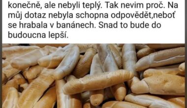 Lidstvo potřebuje válku