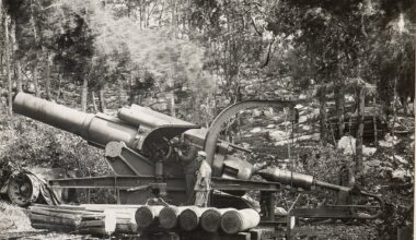 Fotografije z italijanske fronte - Avstro-ogrska 38 cm oblegovalna havbica M. 16