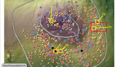 Unusually large Irish ringfort discovered with over 600 dwellings