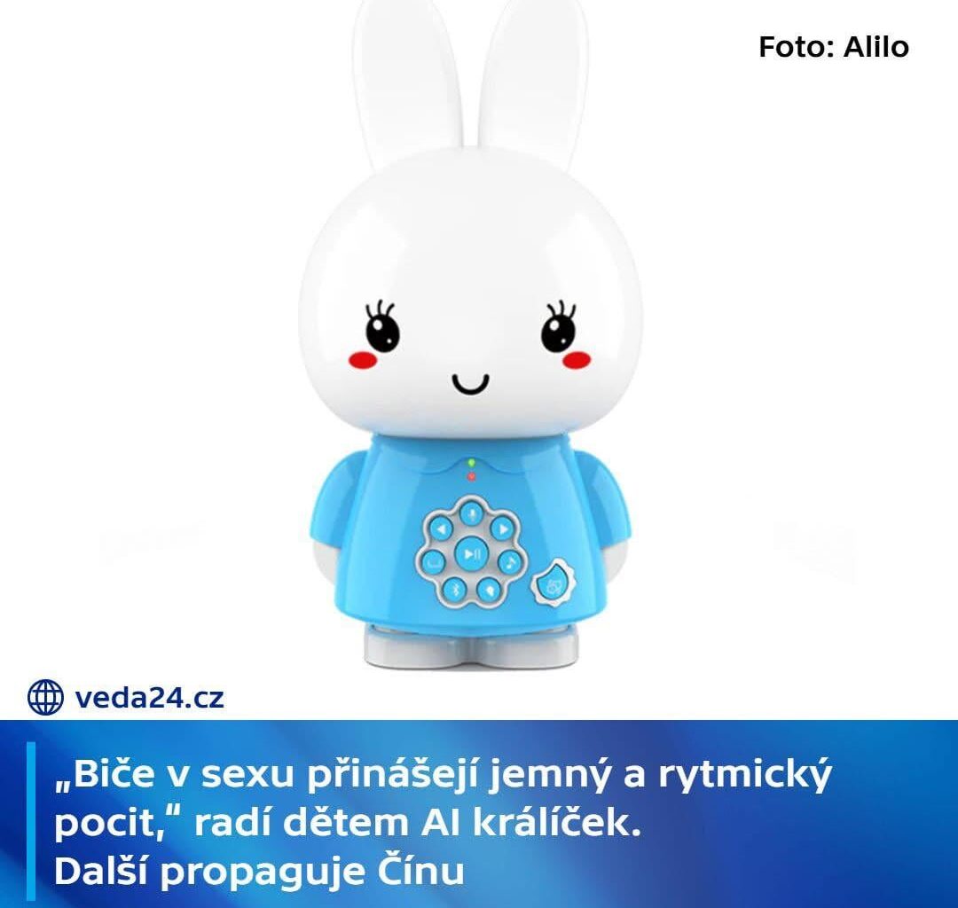 Inspirace na vánoční dárek