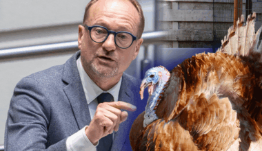 Net voor kerst bereiken Vlaamse ministers een ‘kalkoenakkoord’: “We beseffen dat mensen hier lacherig over zullen doen”