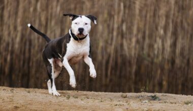 Beeld ter illustratie.