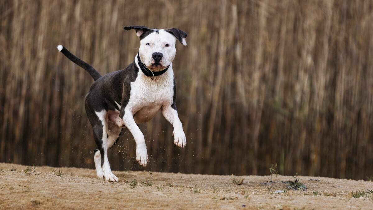 Beeld ter illustratie.