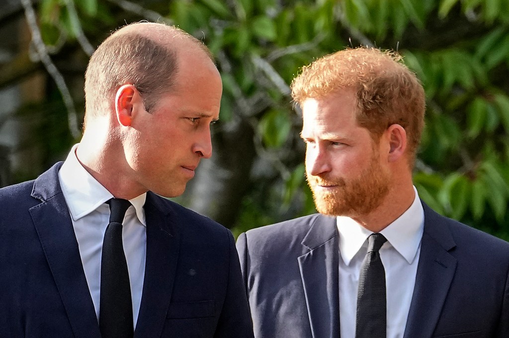 With brand in peril, Prince Harry might envy William's 8-figure salary