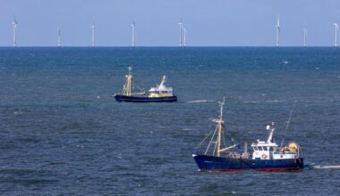 The EU, Norway and the UK agree on fishing opportunities in the North Sea for 2026