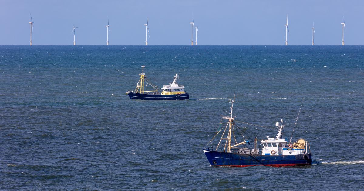 The EU, Norway and the UK agree on fishing opportunities in the North Sea for 2026