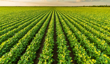 Canada: New investigation finds Temporary Foreign Worker programme exposes migrant workers to health risks, financial exploitation & physical abuse