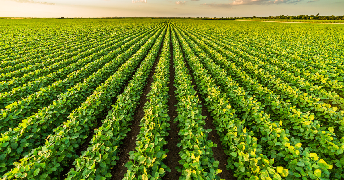 Canada: New investigation finds Temporary Foreign Worker programme exposes migrant workers to health risks, financial exploitation & physical abuse