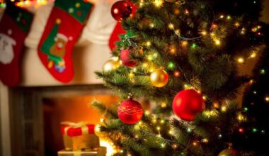 Ask Eartha: How to keep holiday energy consumption in check?