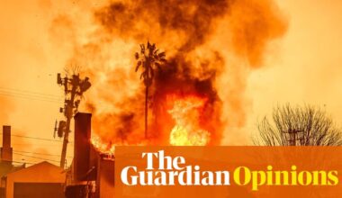 A conversation between Joe Rogan and Mel Gibson summed up 2025 for me – and not in a good way. From merrily dismissing climate science, to promoting irresponsible health claims, the podcast was an unintentional warning for our times.