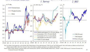 BOJ’s Ueda sees wages and inflation reinforcing rate-hike case