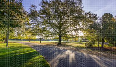 Professor Piers Forster awarded CBE in New Year Honours