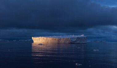The "Doomsday Glacier" is getting closer and closer to irreversible collapse. An analysis of the expansion of cracks in the Thwaites Glacier over the past 20 years suggests that a total collapse could be only a matter of time.
