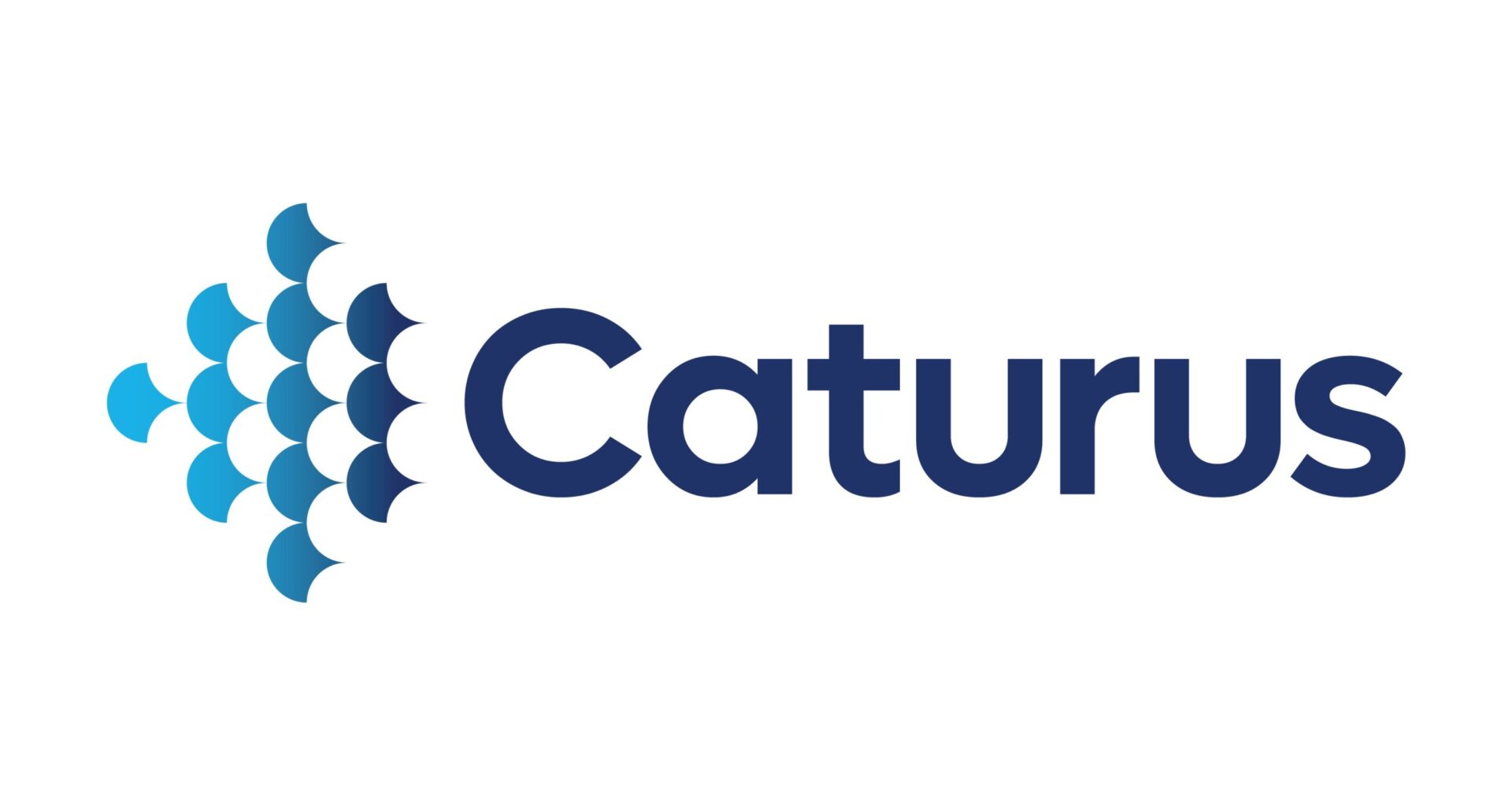 Caturus Authorizes Full Purchase Orders for Major Equipment in Anticipation of FID for Commonwealth LNG