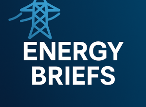Logo for Energy Briefs