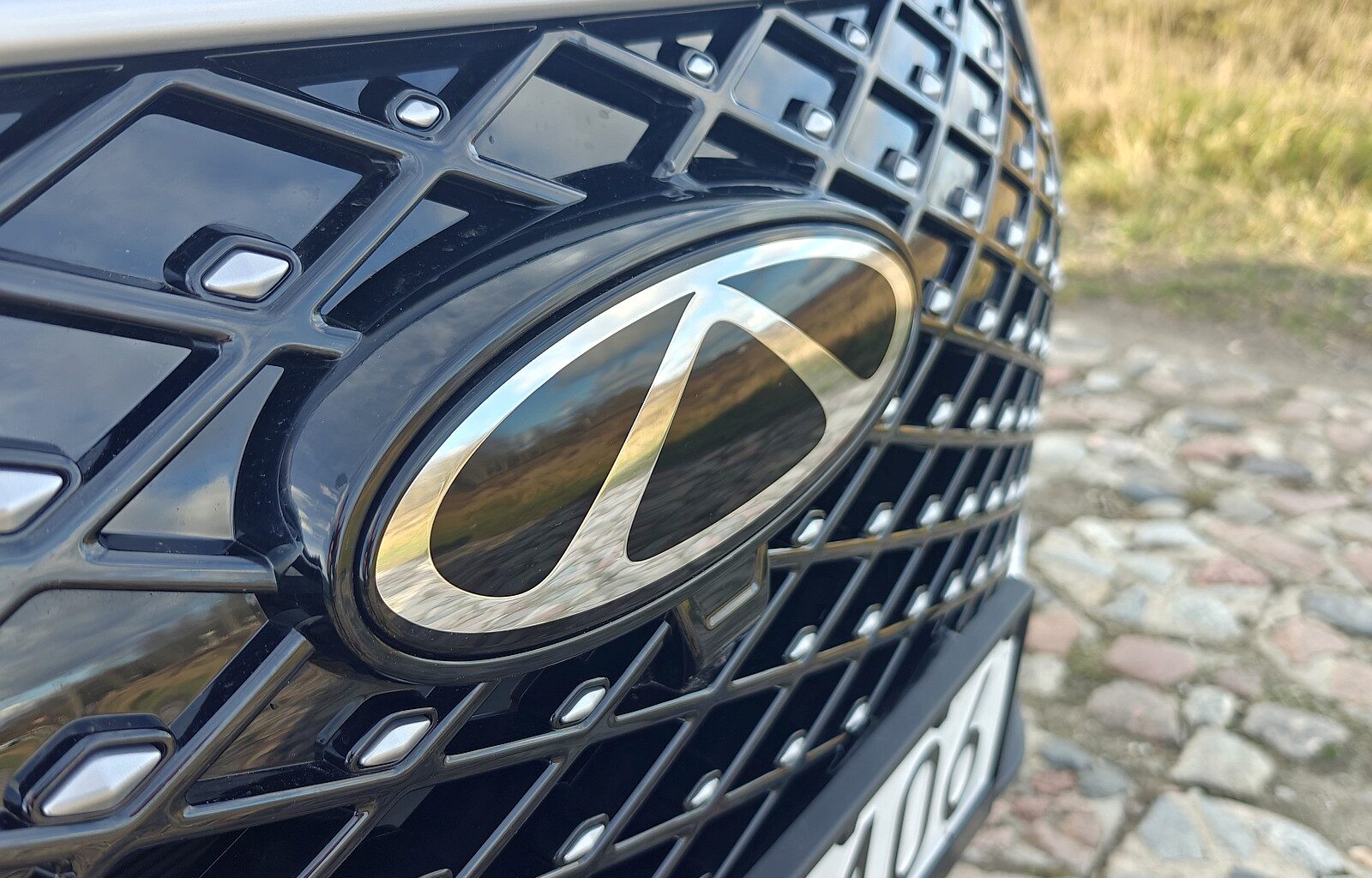 Koncern Chery wyprzedził w Polsce MG