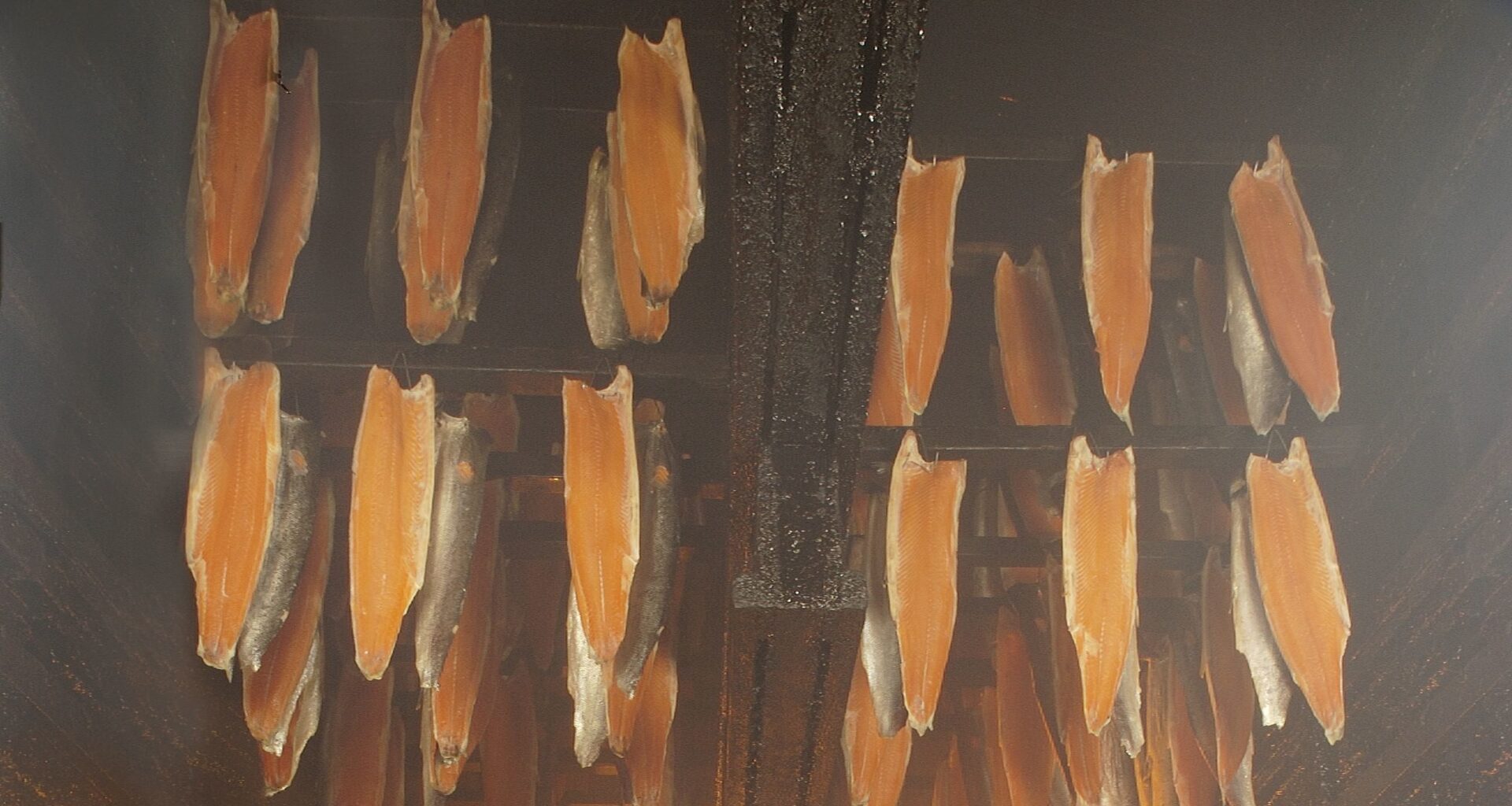 Struggling Estonian firm seeks buyer for UK processing assets