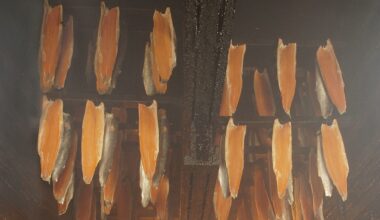 Struggling Estonian firm seeks buyer for UK processing assets