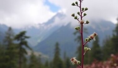 Climate Change Threatens Ethnomedicinal Plants in Himalayas