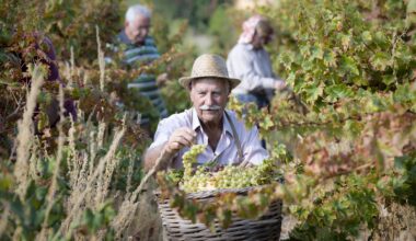 cover Commandaria secures Unesco heritage status