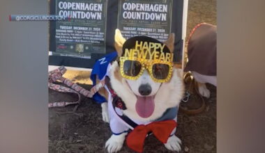 Solvang’s Copenhagen Countdown Rings In 2026 On Denmark Time