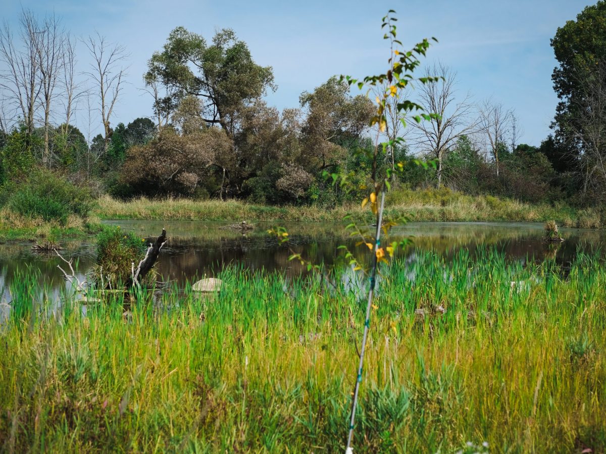 The Next Deluge May Go Differently