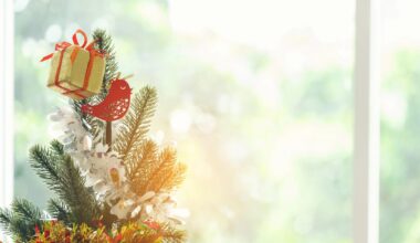 Netherlands sees sunniest Christmas on record, coldest in 25 years