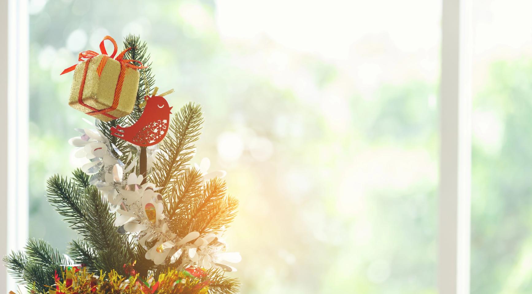 Netherlands sees sunniest Christmas on record, coldest in 25 years