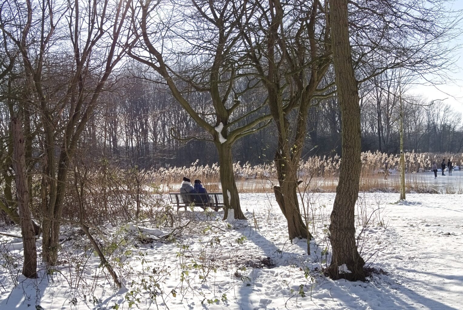 Snow expected nationwide Netherlands in first weekend of 2026