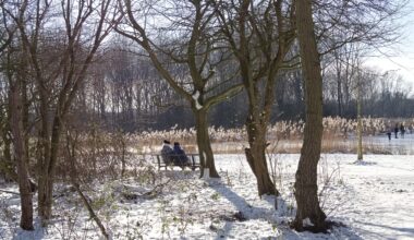 Snow expected nationwide Netherlands in first weekend of 2026