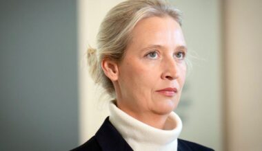 AfD: Alice Weidel erstattet Hunderte Anzeigen wegen Beleidigung im Netz