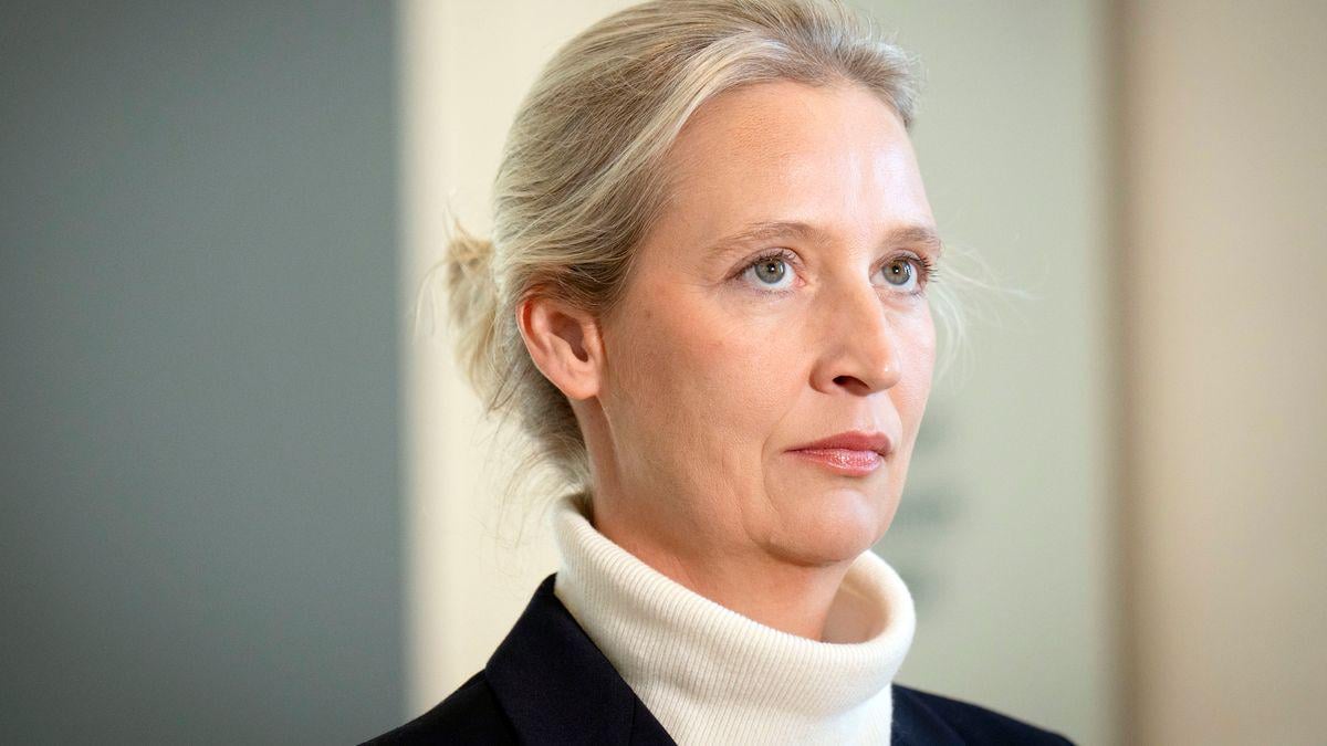 AfD: Alice Weidel erstattet Hunderte Anzeigen wegen Beleidigung im Netz