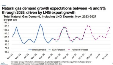 2025 Showed Renewed Energy Leadership and Record Production