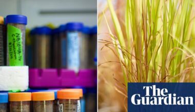 Defunding fungi: US’s living library of ‘vital ecosystem engineers’ is in danger of closing