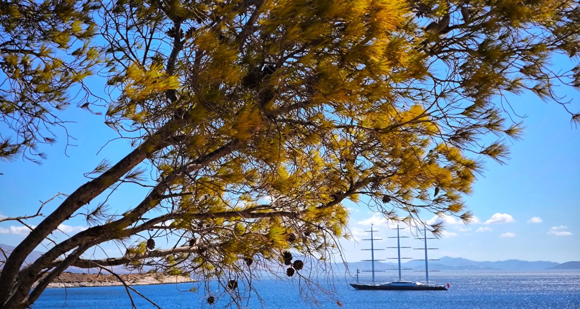 Flu Hits Europe Early in 2025 – Vaccinations Urged Immediately